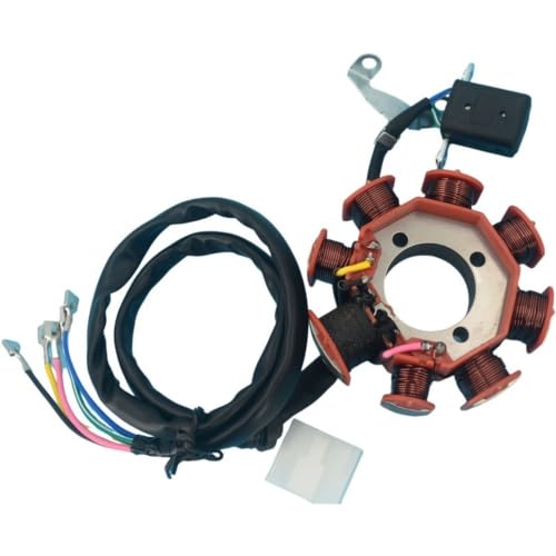 Stator 125cc 8 pôles AC durable pour moteur FT150 CG125