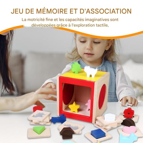 Boîte sensorielle de tri en bois au design durable et éducatif