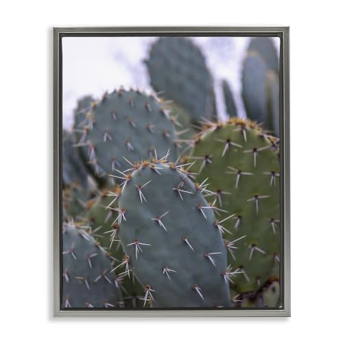 Prickly Cactus Thorns Desert, 16 x 20 Inch Canvas in Floater Frame