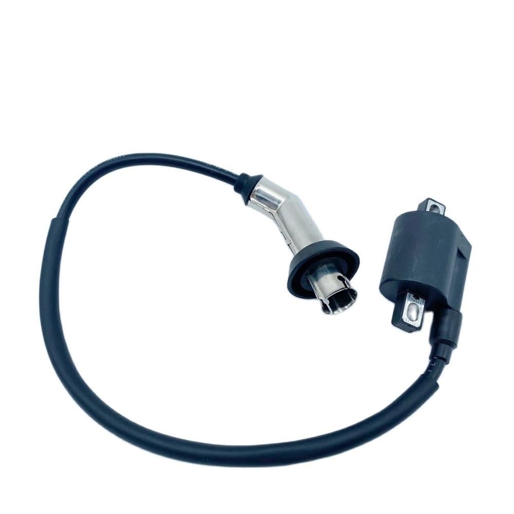 Bobina de encendido para moto de 200 CC y repuestos de encendido de quad BS200S-7