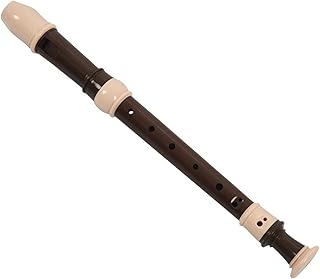 soprano recorder instrument Recorder Saxophone Clarinet Long Flute Recorder Fingering Musical Instrument Beginner