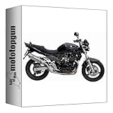 2 Years Warranty mivv pot d\'echappement homologue cat-oem oval acier high up compatible avec suzuki gsf 650 bandit 2005 2006 mototopgun