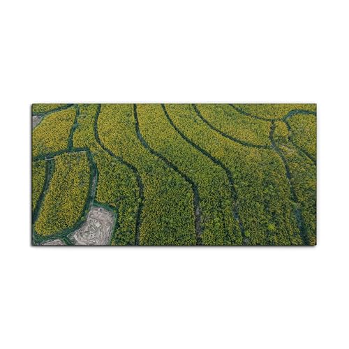 Aerial Rice Fields Grid Pattern Canvas Wall Art, Minimalist Geometric