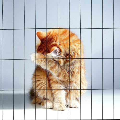 LOLIPPYY Ersatz türgitter für Haustierkäfig aus Robustem Eisen Atmungsaktiv und Einfach Montierbar Geeignet für Hunde Katzengehege Vielseitiges Drahtgitter für DIY Haustierfreilauf