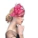 FeiYu Crafts Penny Mesh Hat Fascinator with Mesh Ribbons and Rose Feathers