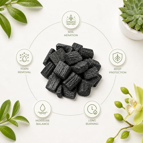 Image of Go Garden Horticultural Charcoal 450g for Orchid, Succulent, Adenium, Terrarium & Gardening | Natural Soil Filter + Long Burning Coal for Havan, BBQ, Cooking & Pooja Dhoop
