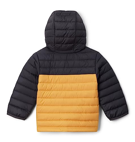 Image of Columbia Kids Powder Lite Hooded Jacket (Little Kids /Big Kids)