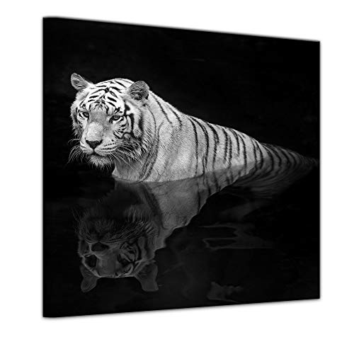 Bilderdepot24 Impression d'art - Tigre dans l'eau - 40 x 40 cm - Images comme Une Impression de Toile - la Faune - Tigre Blanc sur Fond Noir Cover