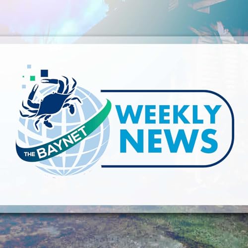 The BayNet Weekly News - June 28, 2024