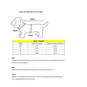 Kirei sui rosettes small dog puppy cat dress s red  urban country home decor