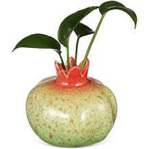 Didiseaon Pomegranate Vase, Realistic Red Vase Ceramic Fruit Planter with Internal Water Culture Compartment for Home Office Bookshelf Pomegranate Decor,Aesthetic Bud Centerpieces 4.13x3.54in