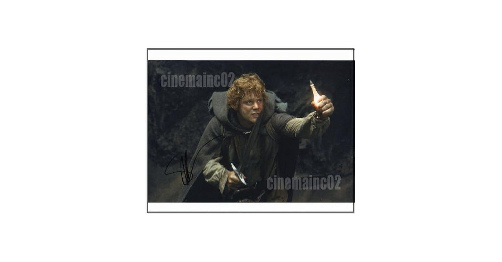 Amazon.co.jp: 直筆サイン入り写真ショーン・アスティン