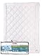 Kühldecke Paradies Cool Comfort Bio Sommerdecke 155×220 cm