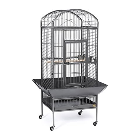 Prevue Pet Products 34521 Dometop Bird Cage, Large, Black Hammertone Cover