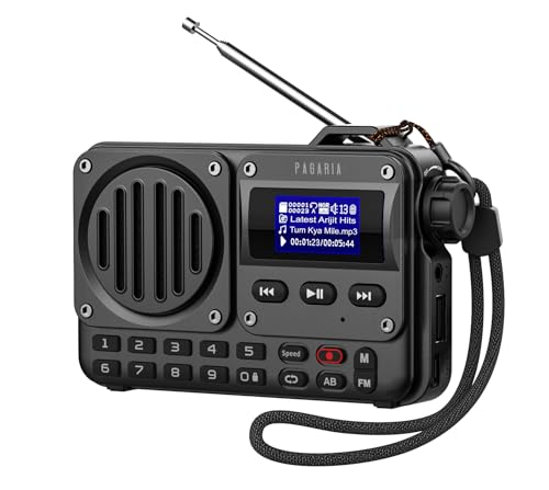 PAGARIA Store Pagaria Grenade 5W Bluetooth FM Radio, Black - Image 2