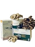 Nam - Kit de Cultivo de Setas Ostras y Shiitake – Autocultivo Fácil con Hongos Incubados, Cosecha en 10 Días, Huerto Urbano Sostenible y Ecológico