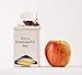 Mud Pie FBA_ Ceramic Tea Bag Caddy, White