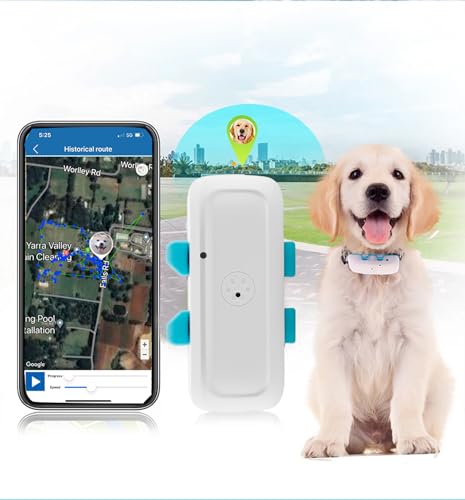 Localizador GPS para perros sin cuotas: seguimiento gratuito y eficaz Localizador GPS Mascotas TK911Pro Mini Localizador GPS Mascotas Seguimiento en Tiempo Real APP/Plataforma Web Sin Suscripción con Alarma Sonido/Luz para Localizar Mascotas Perro Localizador GPS