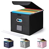 CADONO File Organizer Box with Lid, Large Hanging File Folder Organizer with Plastic Slide, Collapsible Portable Filing Storage Boxes for Office/Decor/Home (Black, 14.9 x 12.59 x 10.8 inch)