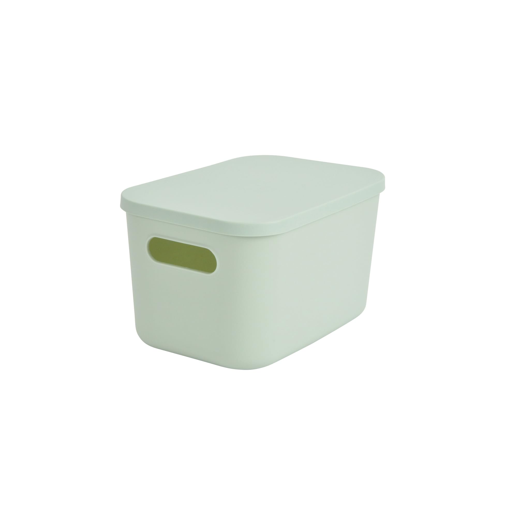 Homéa, 4.5 Litre Plastic Box with Lid 25 x 17.5 x 14.5 cm Sage