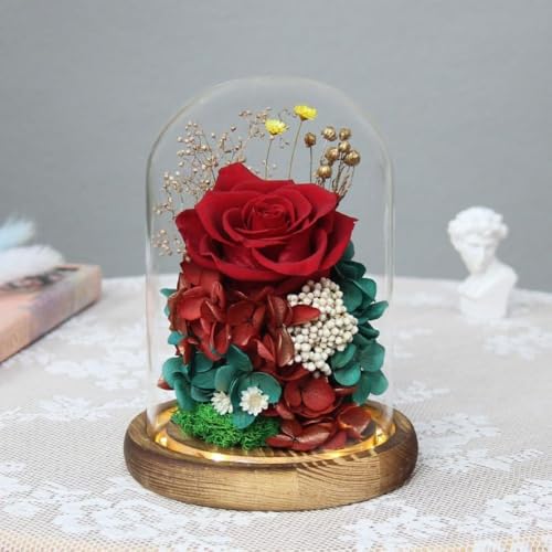 CokBlu vU[uht[Mtg ͂ȂԃsN[YKXh[Ɏ LED Cgt hCt[vUP[Xő蕨ɍœK Mtg{bNX񂰑܃bZ[WJ[ht ̓jJXjLOahV̓ȂǂjɊp