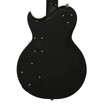 Aria Pro2 PE ブラックモデル Aria Pro II PE-DLX SB / See Through Black 税込販売価格