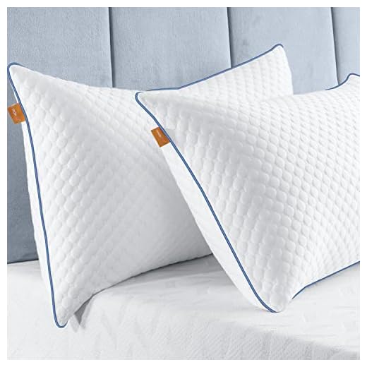 Maxzzz Bamboo Pillows Queen Pillows Set of 2, Bed Pillows for Sleeping Luxury Down Alternative with Zipper Cover, Cooling Neck Pillows 2 Pack for Side Stomach and Back Sleepers