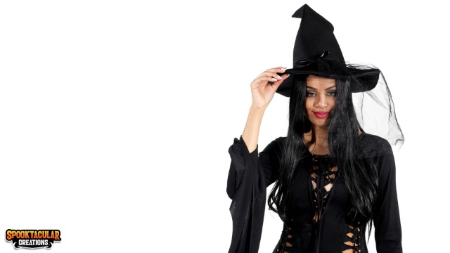 Amazon.com: Spooktacular Creations Halloween Black Mesh  display picture 3