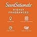 Scentsationals Wax Melts, Wax Cubes Strong Scent - Dreamsicle Cream - Long Lasting Scented Wax Melts for Warmer, 10oz (24-Cubes)