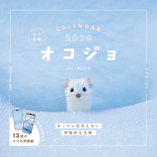 【購入者限定特典付き】カレンダー2026 山の妖精 オコジョ CALENDAR （月めくり/壁掛け/420mm×210mm）（「かわいいオコジョのスマホ壁紙画像」データ配信） (インプレスカレンダー2026)のサムネイル