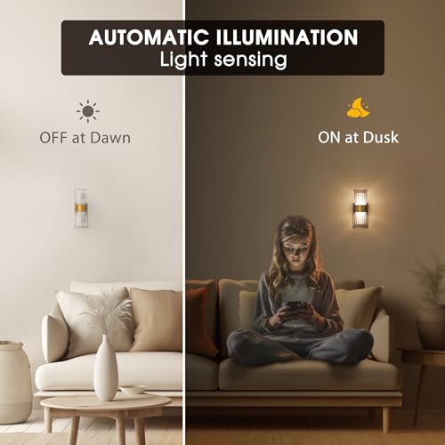 Image of Briignite Night Light Plug into Wall, 2 Pack, 320 Rotation Night Light with Dusk to Dawn Light Sensor, Soft White 3000K, 0-100LM Adjustable Brightness for Use in Bedroom, Hallway