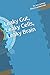 Leaky Gut, Leaky Cells, Leaky Brain (Connect the Dots)