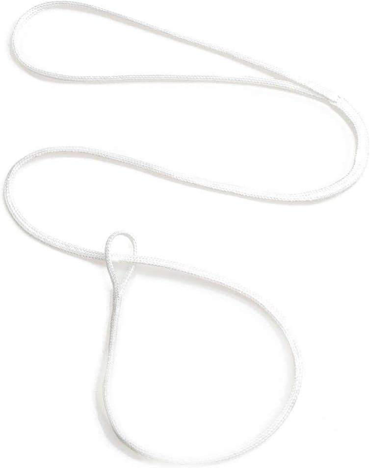 Mendota Pet Petite Loop Lead (Nylon) - Dog Lead - Made in The USA - White, 3/8 in x 48 in (Heavy)