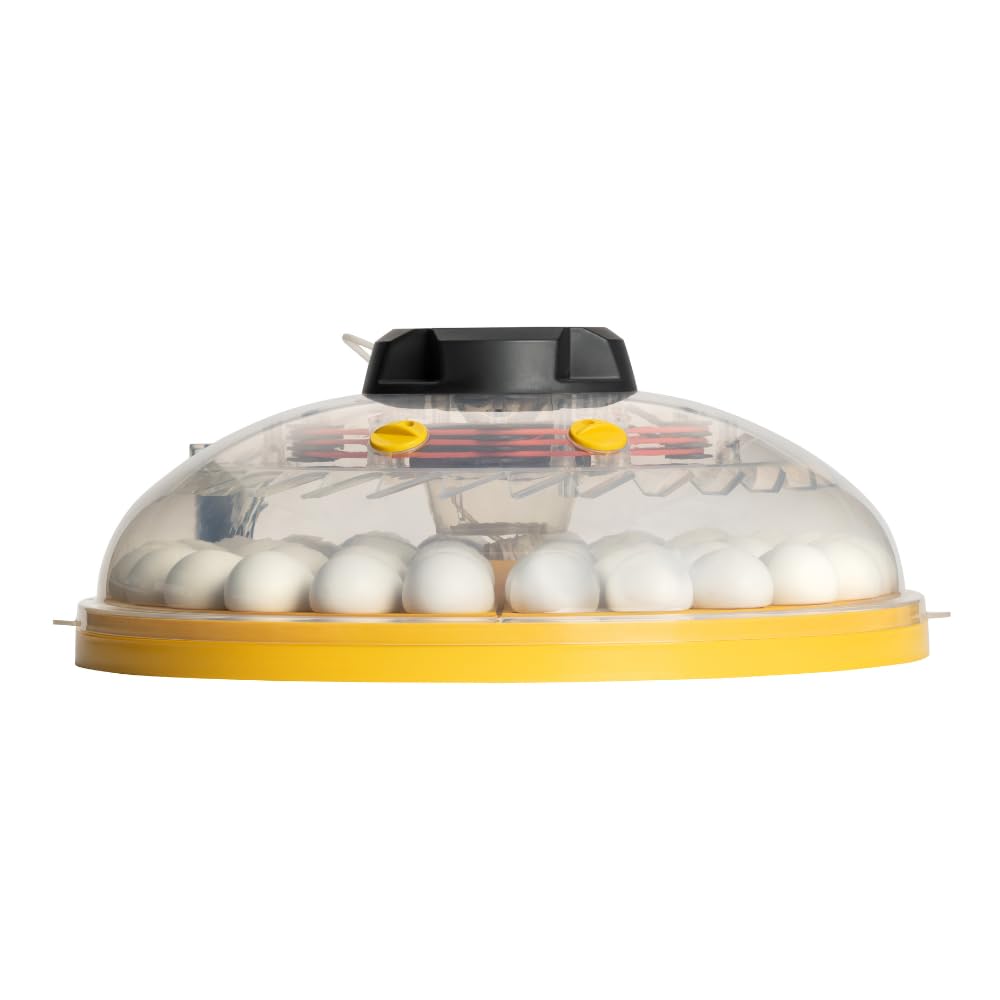 Brinsea Maxi 48 EX 48 - Incubadora de huevos fabricada en Reino Unido, calidad premium, giro totalmente automático y control de humedad automático integral, incluye alarmas digitales y enfriamiento de