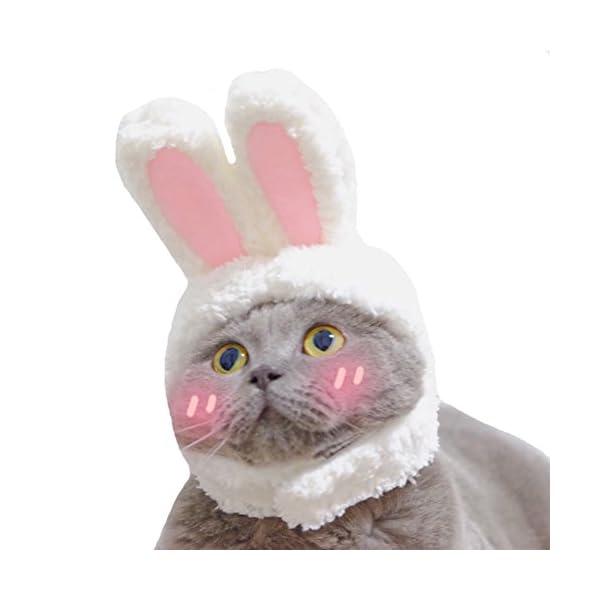 Orgrimmar plush bunny ears pet headband,rabbit ear hat for cat small dogs party costume accessory headwear