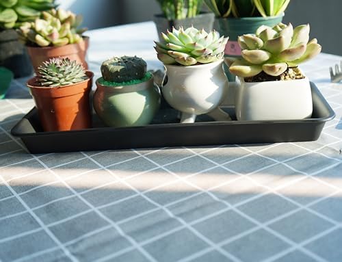 VUWEZ 2 Pack Plastic Plant Tray Saucer, Rectangular, Indoors Outdoor, Water Drip Tray for Flower Pot Planter, Windowsill (6.5 X 13 Inch, Black) - 2