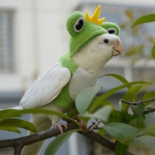 Image of Bird Costume Diaper Flight Suit Frog Shape Hoodie Clothes Cosplay Photo Prop for Parrots Parakeet Cockatiel Sun Conure, Small Animals Apparel (Green Without Diaper, Large), (BPF1)