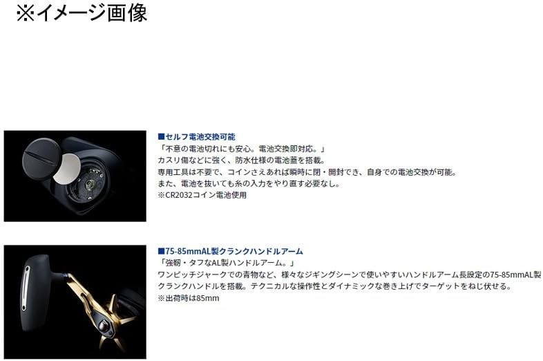 DAIWA Tierra LJ IC 300H/300HL Bait Reel with Counter, Various (2023 Model)