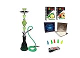 Zebra Smoke Series: 11' 2 Hose Pumpkin Hookah with Cage- Complete Set- Combo Kit Set w/ Instant Charcoal ,Herbal Molasses, Hookah Mouth Tips (Green)