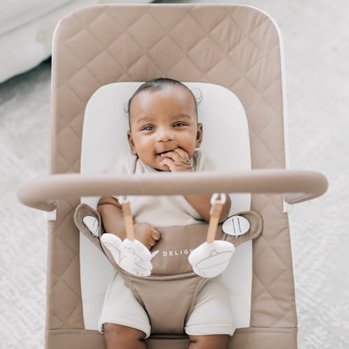 Image of Baby Delight Alpine Deluxe Portable Bouncer, Organic Mocha | Infant 0-6 Months, 3-Position Recline, 3-Point Safety Harness, 100% GOTS Certified Cotton Fabric Removable & Washable Cover