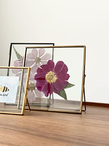 Beedecor Double Glass Frame For Pressed Flowers, Leaf And Artwork - Standing Metal Picture Frames, Tabletop Clear Floating Pressed Glass Frame, Home Decor Photo Display, Set Of 2 Pressed Flower Frames With Stand (Black, 5X7) #TOP6
