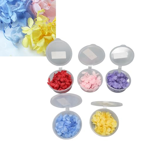 Pacote de 5 Flores de Hortênsia Prensadas Secas Com Textura Requintada para Fabricação de Joias, Art