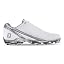 White/Platinum