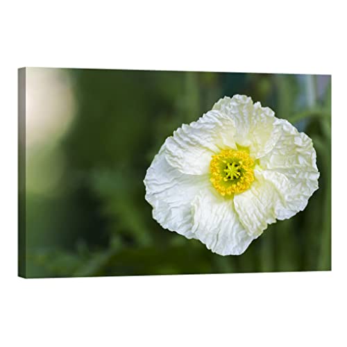 Tableau fleurs phosphorescent DCF058-2 pour décorer un couloir sombre la nuit