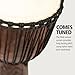 Professional Djembe Hand Drum Circle Instrument, Carved Mahogany — NOT MADE IN CHINA — African Mali Weave Ropes and Rawhide, 2-YEAR WARRANTY