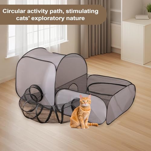 Parque para Gatinhos de Interior | Recinto Para Gatos De Interior De Encerramento Para Animais - Cas