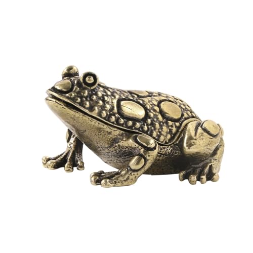 AeB[NX^C^ nhCh ^ WG[ ANZT[ Xg[WRei gW[ I[KiCU[ ANZT[I[KiCU[, One Size, ̂Ƃ