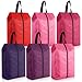 Bulyoou 6 Pcs Travel Shoe Bags with Zipper Nylon Portable Waterproof Suitcase Shoe Organizer Packing for Golf(L,Purple)