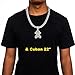 FW Jewelry Mens Hip Hop Iced Out Chain Necklaces Silver Gold Pendant Chains for Boys 22 Inch (Silver Monkey, Rope Chain)
