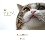 DVD写真集 まるです。